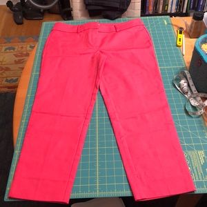 Loft Fuchsia - The Riviera Pant